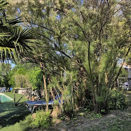Haustierfreundliches Glicini Mit Pool Und Aussicht