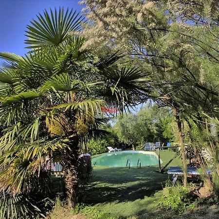 Haustierfreundliches Glicini Mit Pool Und Aussicht